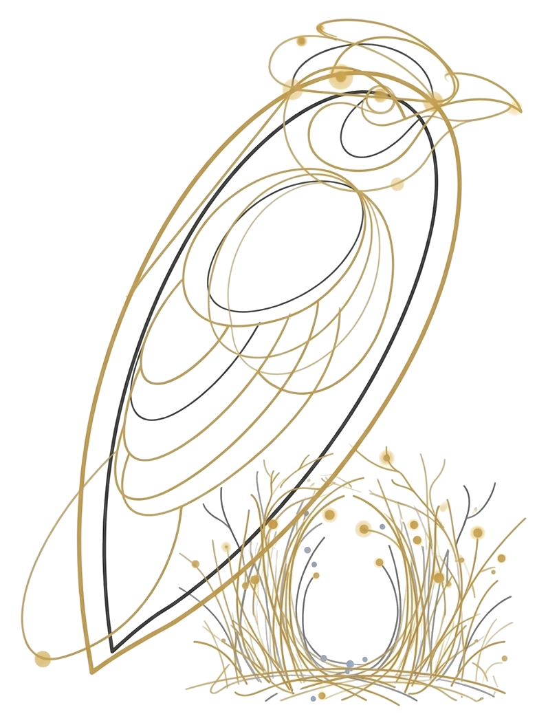 Bowerbird illustration