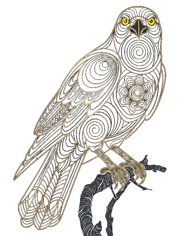 Kite bird illustration
